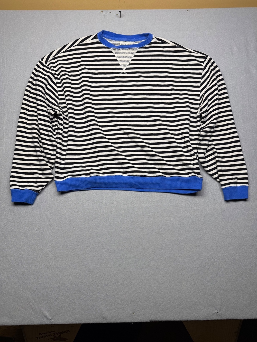 Free People We The Free Striped Blue Trim Sweatshirt S